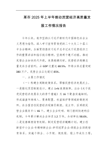 某市2025年上半年推动民营经济高质量发展工作情况报告