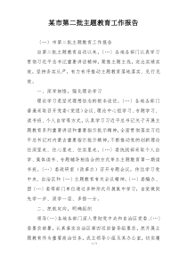 某市第二批主题教育工作报告