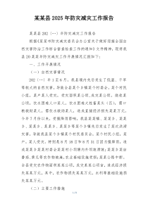 某某县2025年防灾减灾工作报告