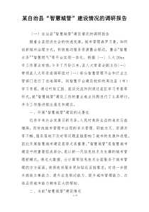 某自治县“智慧城管”建设情况的调研报告