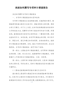 浅谈如何撰写专项审计调查报告