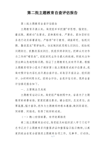 第二批主题教育自查评估报告