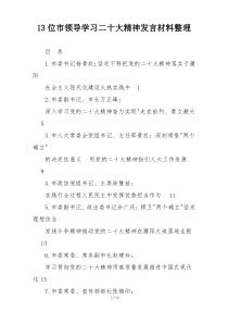 13位市领导学习二十大精神发言材料整理