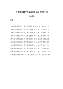 10篇司法局20XX年工作总结及20XX年工作计划