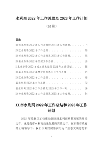 10篇水利局20XX年工作总结及20XX年工作计划