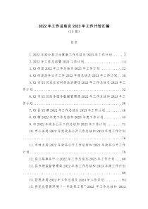 15篇20XX年工作总结及20XX年工作计划汇编