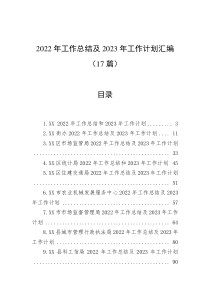 17篇20XX年工作总结及20XX年工作计划汇编