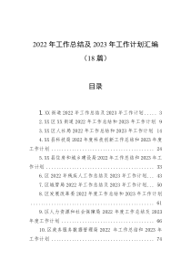 18篇20XX年工作总结及20XX年工作计划汇编