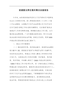 街道普法责任落实情况自查报告