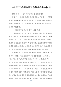 2025年XX公司审计工作务虚会发言材料