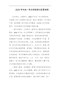 2025年中央一号文件的研讨发言材料