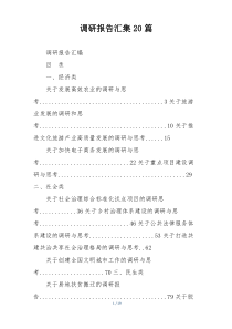 调研报告汇集20篇