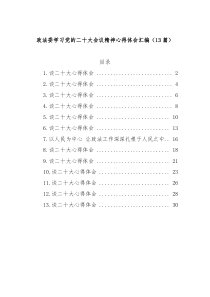 (13篇)政法委学习党的二十大会议精神心得体会汇编