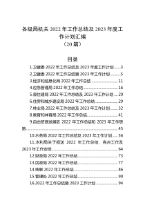 20篇各级局机关20XX年工作总结及20XX年度工作计划汇编