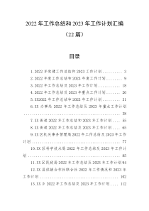 22篇20XX年工作总结和20XX年工作计划汇编 (2)