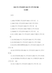 22篇20XX年工作总结和20XX年工作计划汇编
