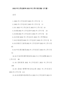 27篇20XX年工作总结和20XX年工作计划汇编