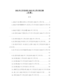 29篇20XX年工作总结及20XX年工作计划汇编