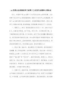 xx民营企业家畅谈学习省第十三次党代会精神心得体会