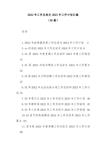 38篇20XX年工作总结及20XX年工作计划汇编