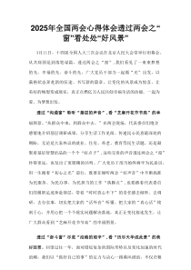 2025年全国两会精神发言稿精选资料