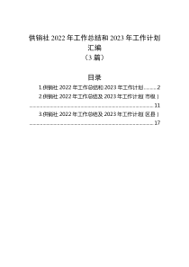 3篇供销社20XX年工作总结和20XX年工作计划汇编