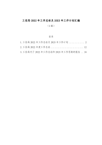 3篇工信局20XX年工作总结及20XX年工作计划汇编