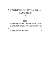 3篇自然资源和规划局20XX年工作总结和20XX年工作计划汇编
