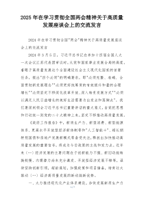 2025年在学习贯彻全国两会精神关于高质量发展座谈会上的交流发言