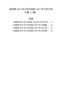 4篇民政局20XX年工作总结和20XX年工作计划汇编