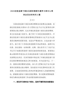[3篇]教育整顿20XX纪检监察干部队伍教育整顿专题学习研讨心得体会发言材料