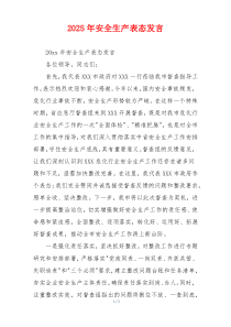2025年安全生产表态发言