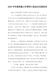 2025年市委党建工作领导小组会议交流发言