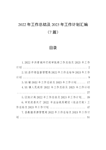 7篇20XX年工作总结及20XX年工作计划汇编