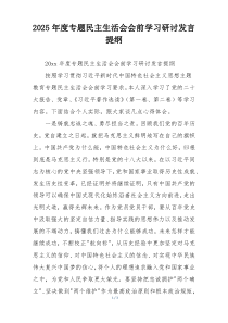 2025年度专题民主生活会会前学习研讨发言提纲