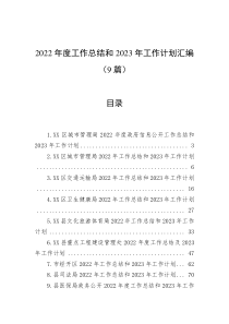 9篇20XX年度工作总结和20XX年工作计划汇编