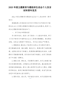 2025年度主题教育专题组织生活会个人发言材料青年党员