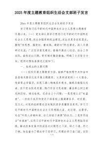2025年度主题教育组织生活会支部班子发言
