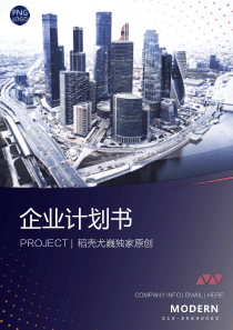 企业计划书