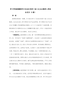 [5篇]学习贯彻新疆维吾尔自治区党委十届三次全会精神心得体会发言