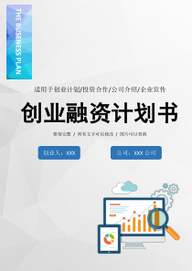创业融资计划书