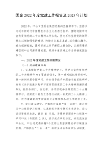 国企20XX年度党建工作报告及20XX年计划