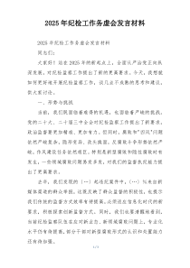 2025年纪检工作务虚会发言材料