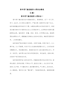 [6篇]青年骨干廉洁教育心得体会精选