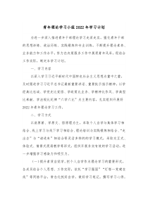 青年理论学习小组20XX年学习计划