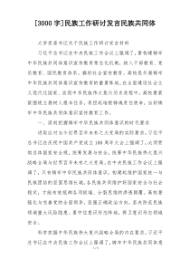 [3000字]民族工作研讨发言民族共同体