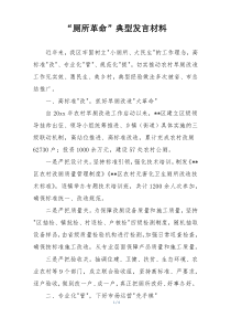 “厕所革命”典型发言材料
