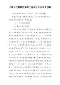 三重工作暨经济谋划工作会议公安发言材料