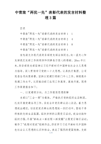 中青旅“两优一先”表彰代表的发言材料整理3篇