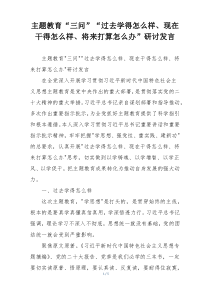 主题教育“三问”“过去学得怎么样、现在干得怎么样、将来打算怎么办”研讨发言